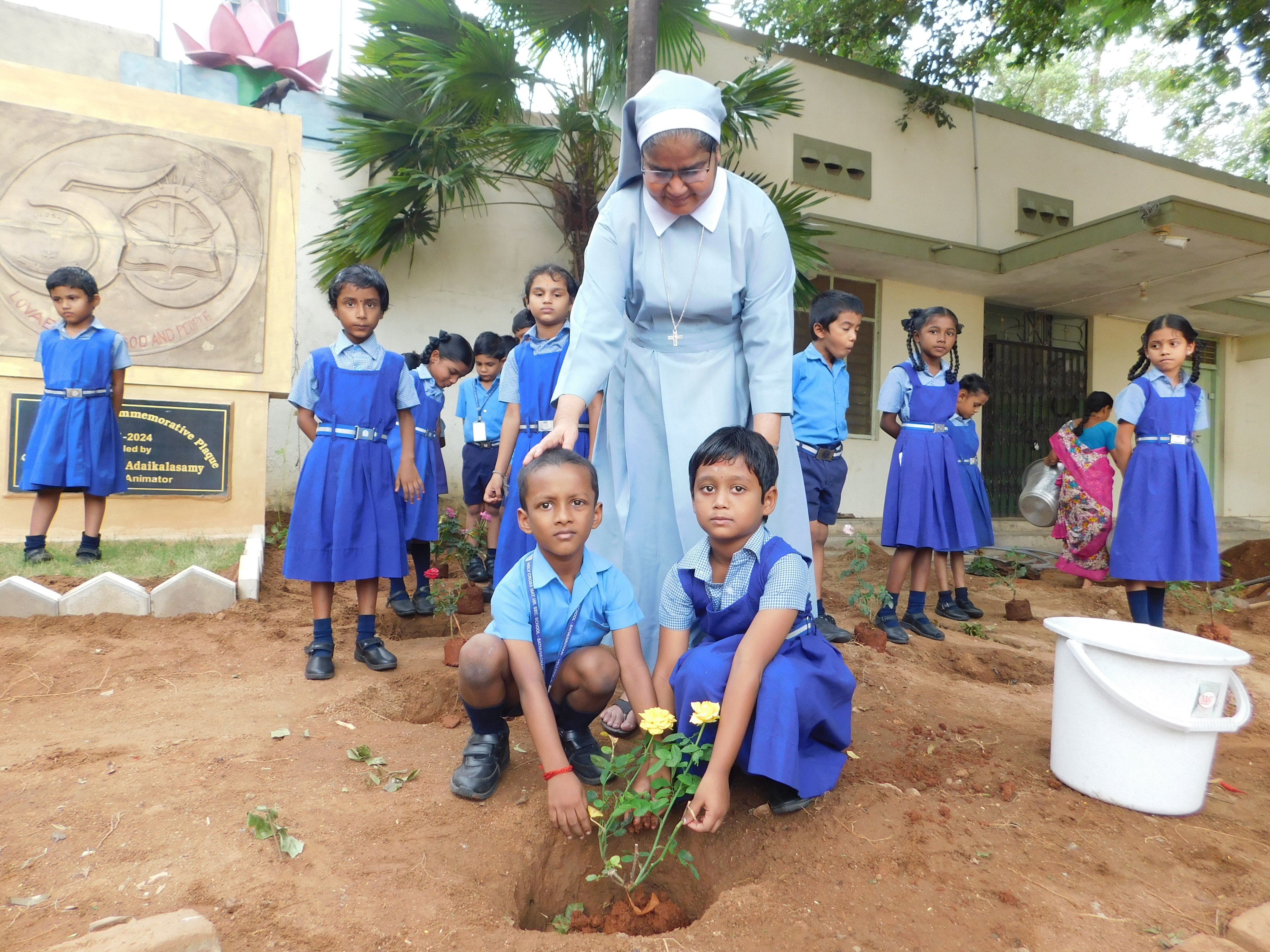 Tree Sapling